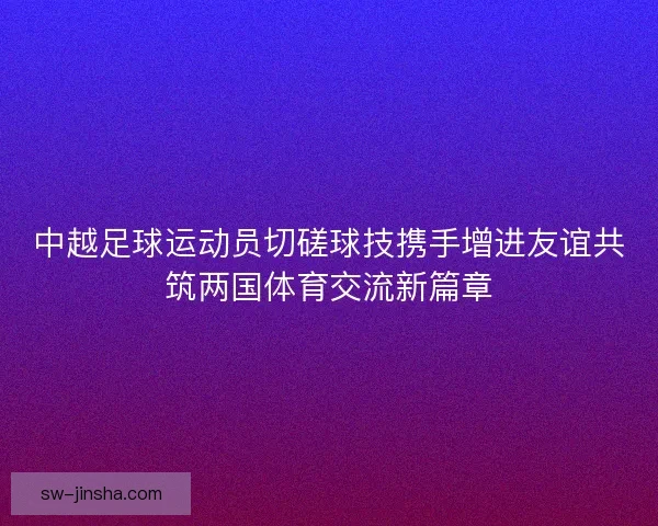 中越足球运动员切磋球技携手增进友谊共筑两国体育交流新篇章